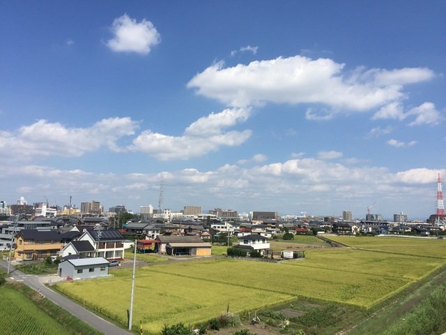 台風一過
